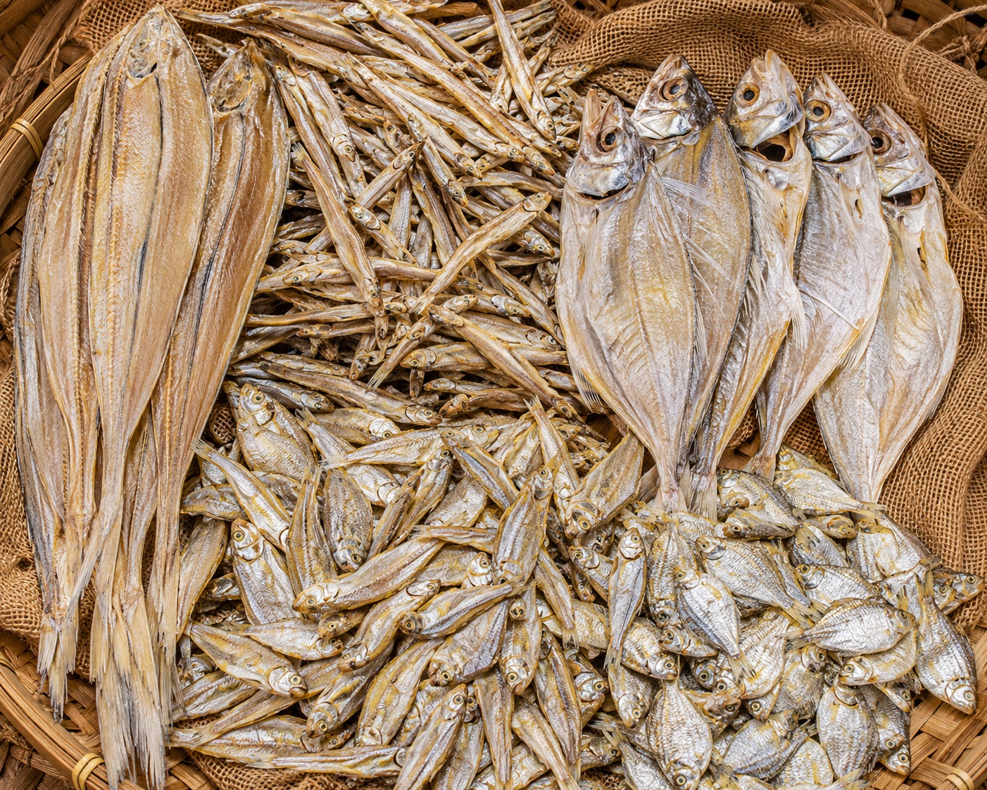 Dry Fish
