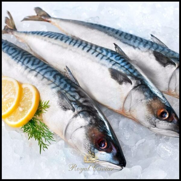royal_caviar_uae_product_image-600x600
